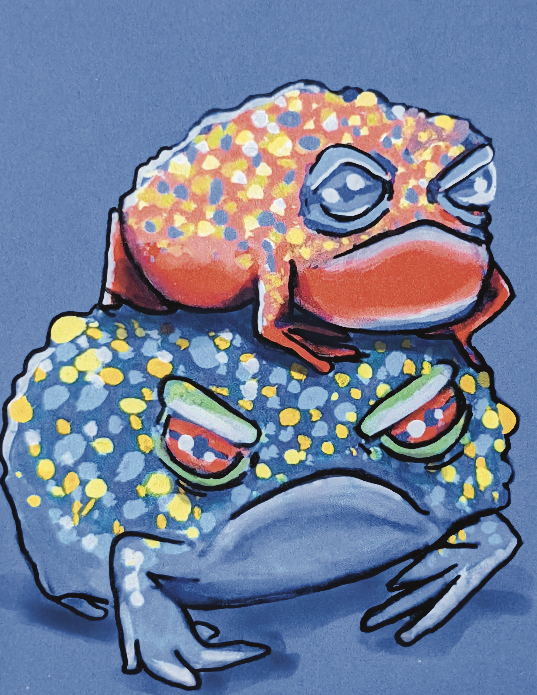 2 Frogs