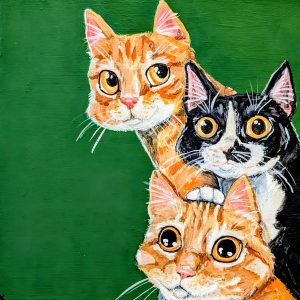 3cats