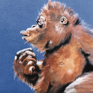 Ape Curious