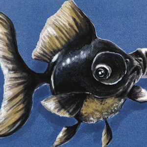 B Moore Blue