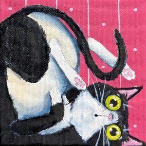 Black Cat Upside Down