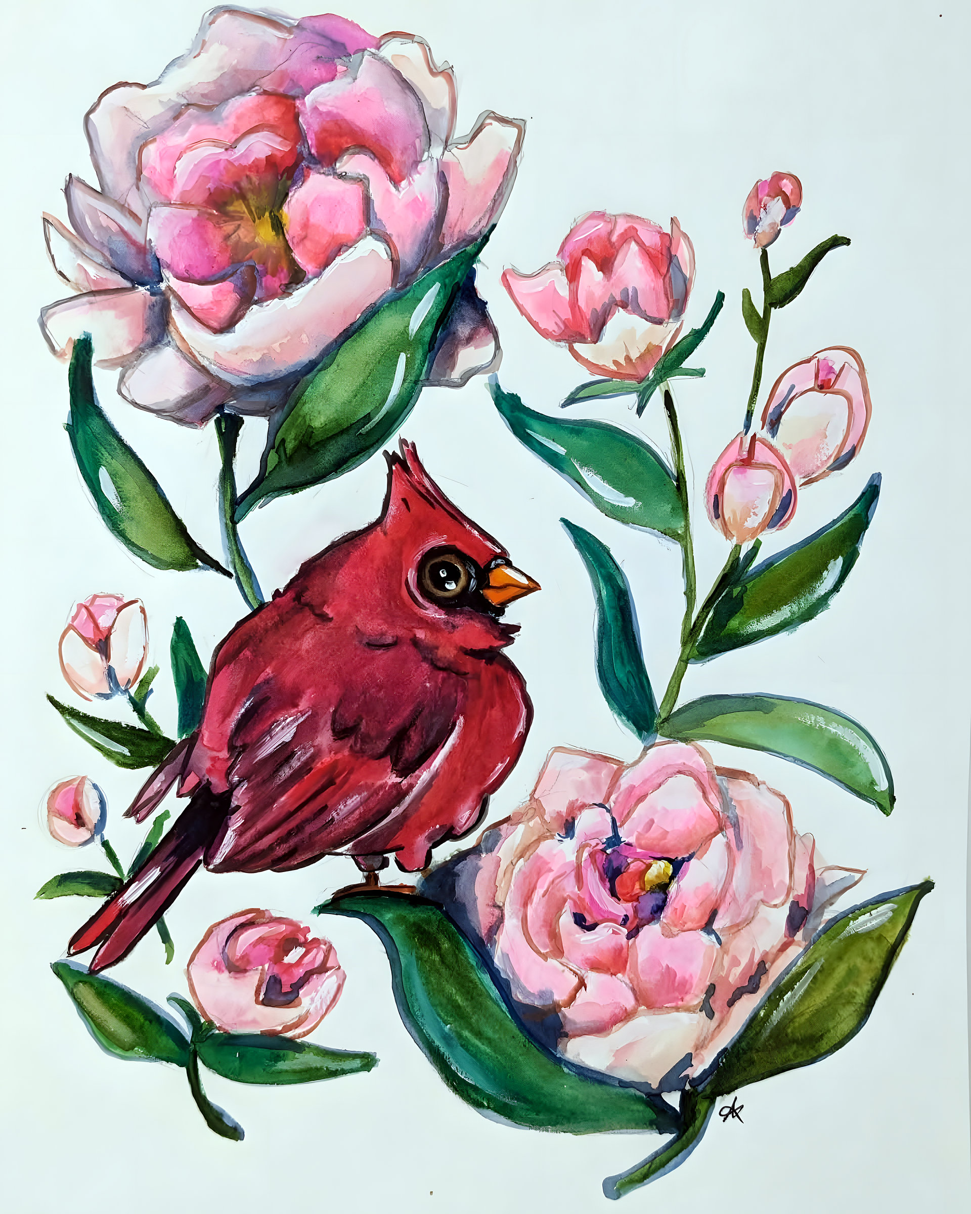 Cardinal Watercolor