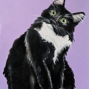 Cat Purple