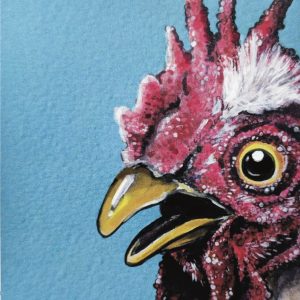 Chicken