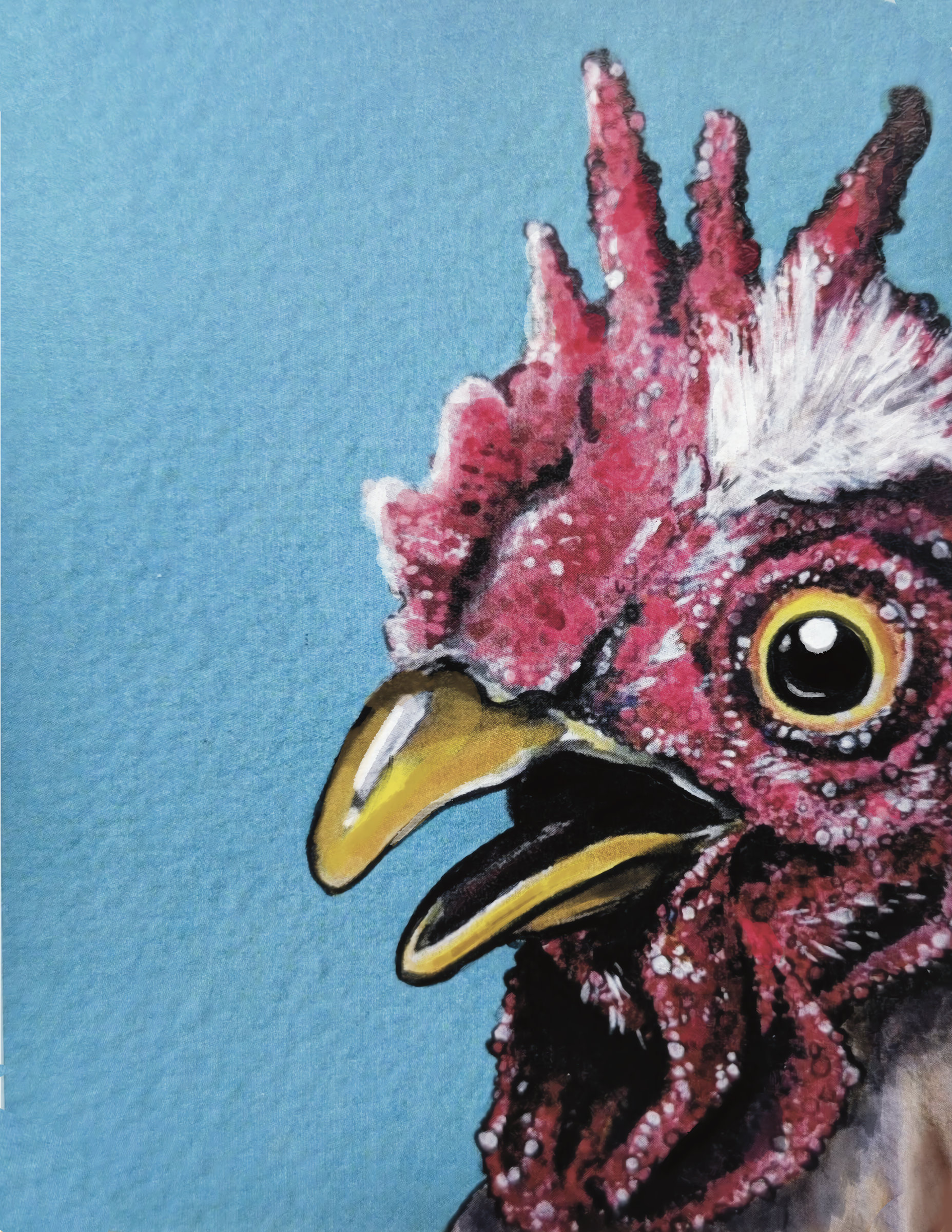 Chicken