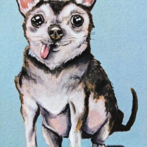 Chihuahua