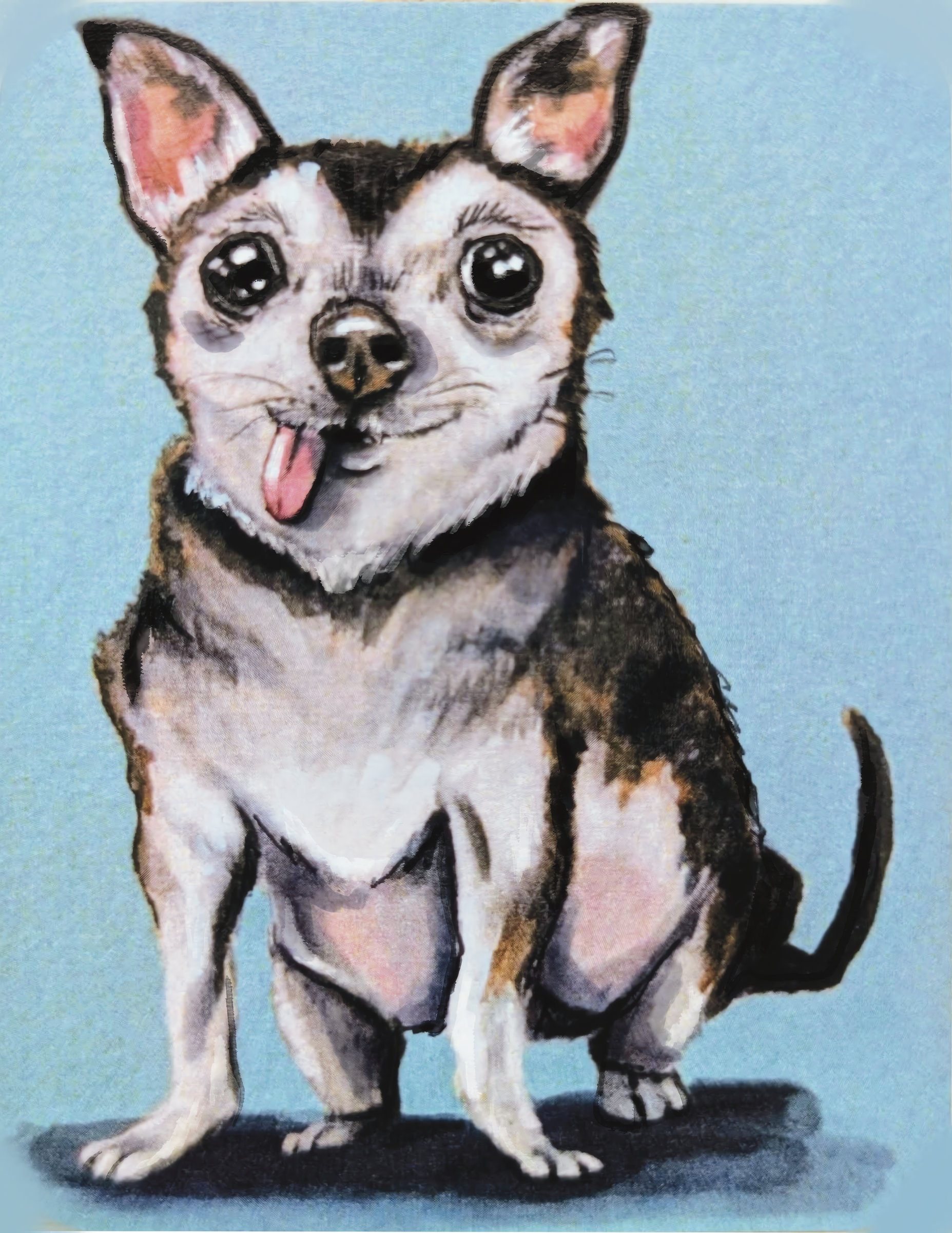 Chihuahua