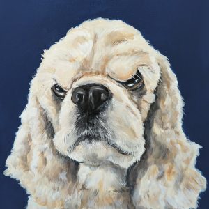 Cocker Spaniel