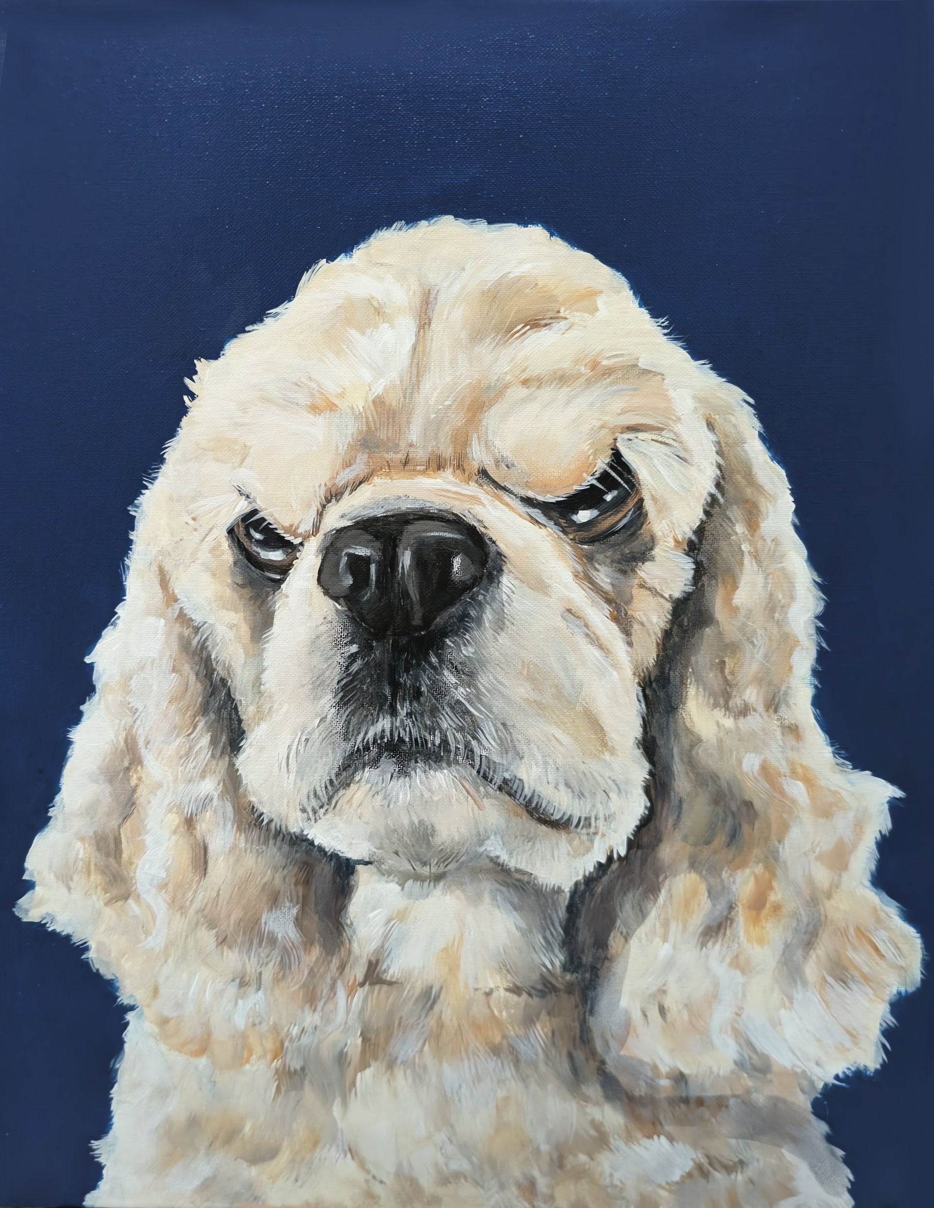 Cocker Spaniel