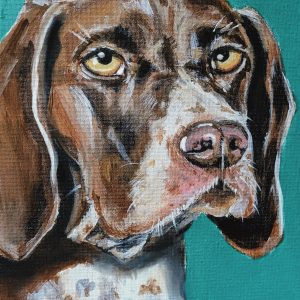 Dog Turquoise