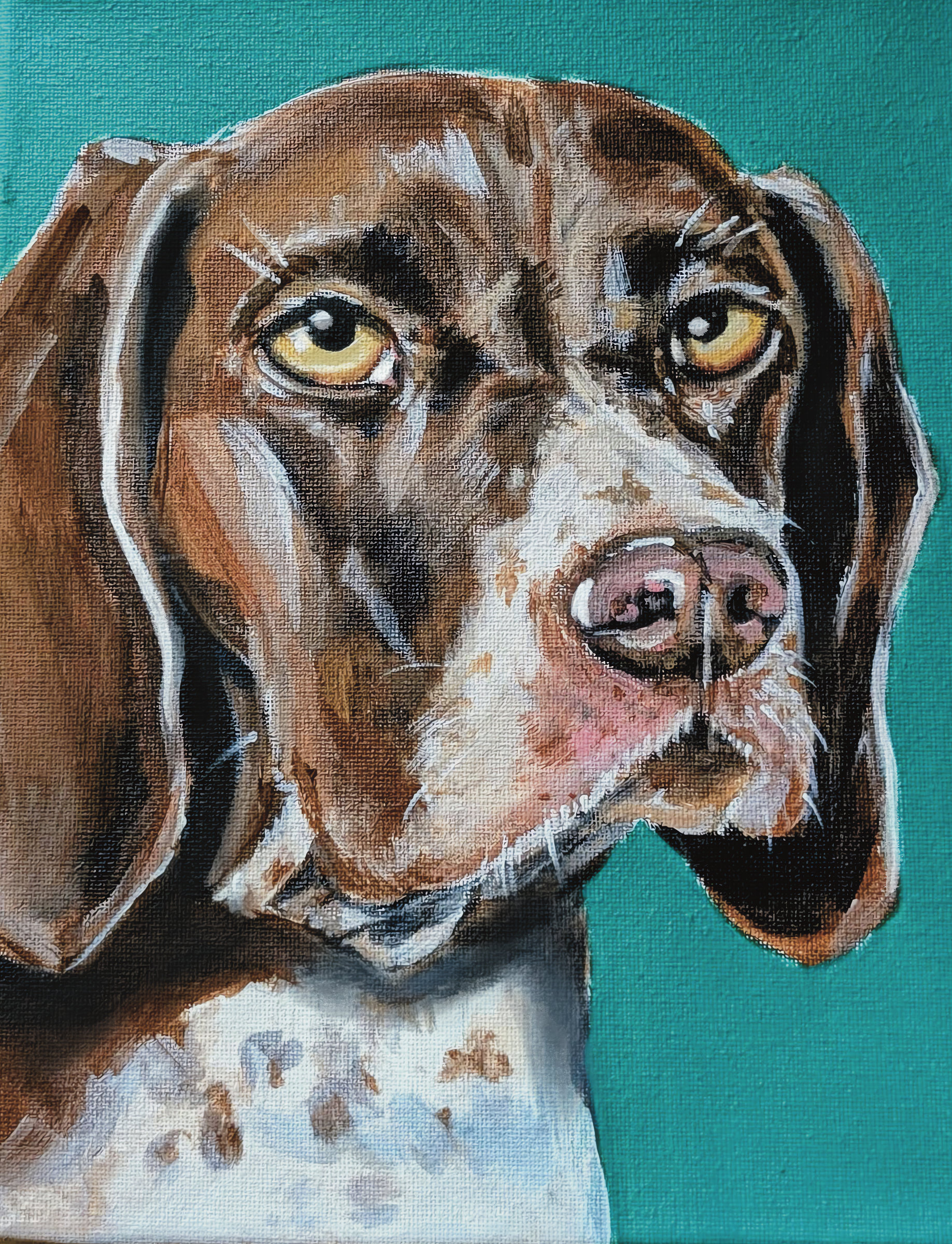 Dog Turquoise