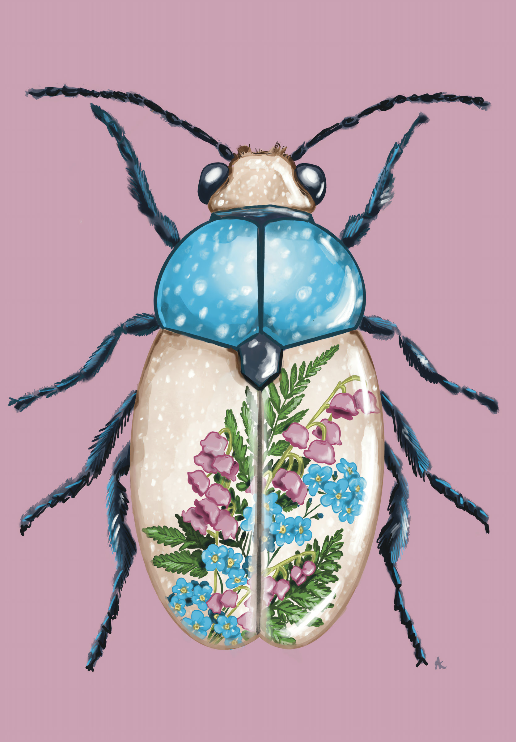 Flower Beetle