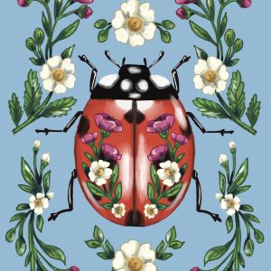 Ladybug