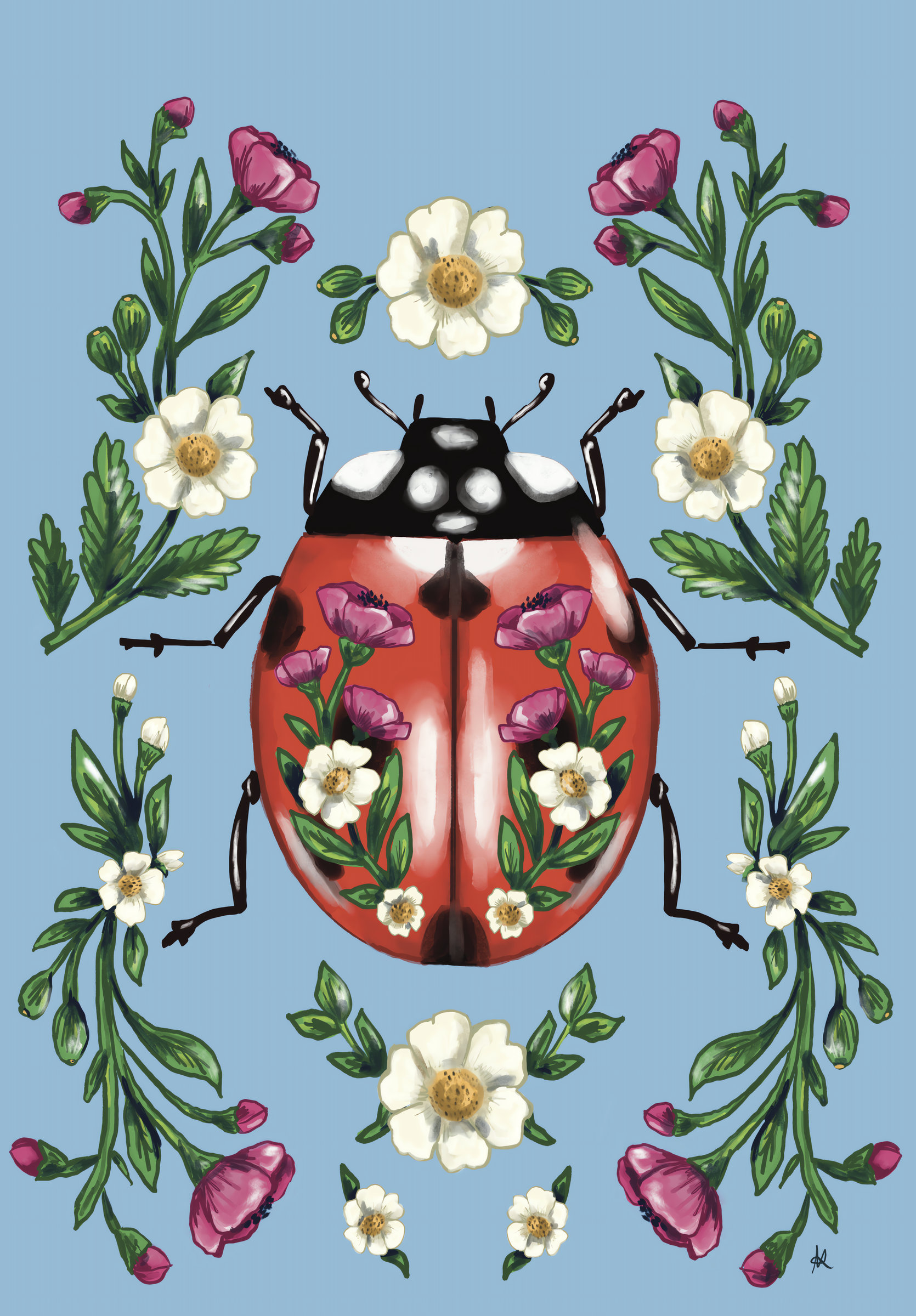 Ladybug