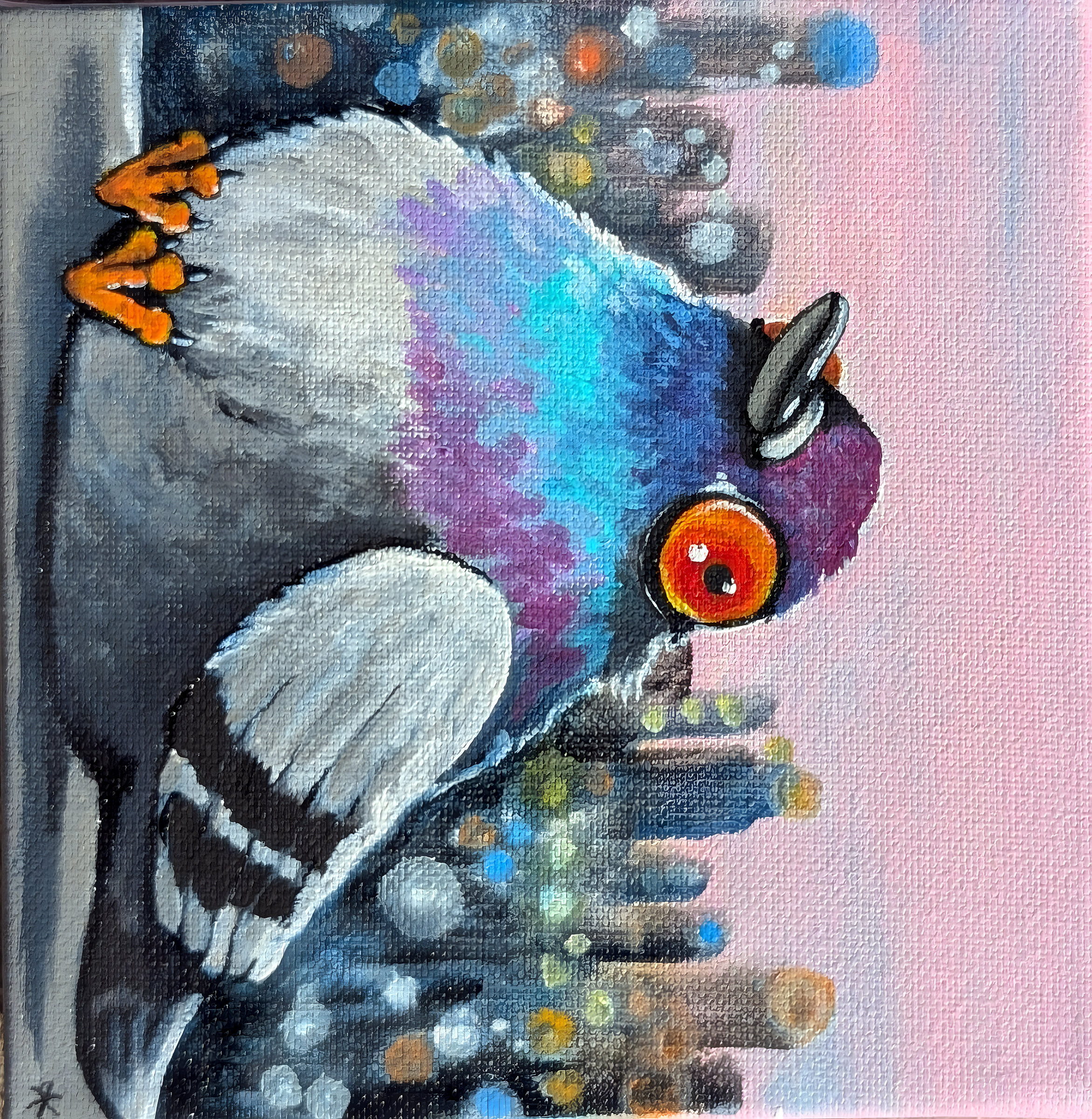 Pigeon Cityscape