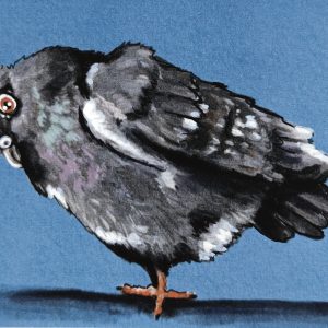 Pigeon Blue