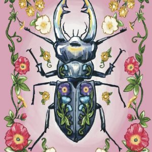 Pink Bug 1