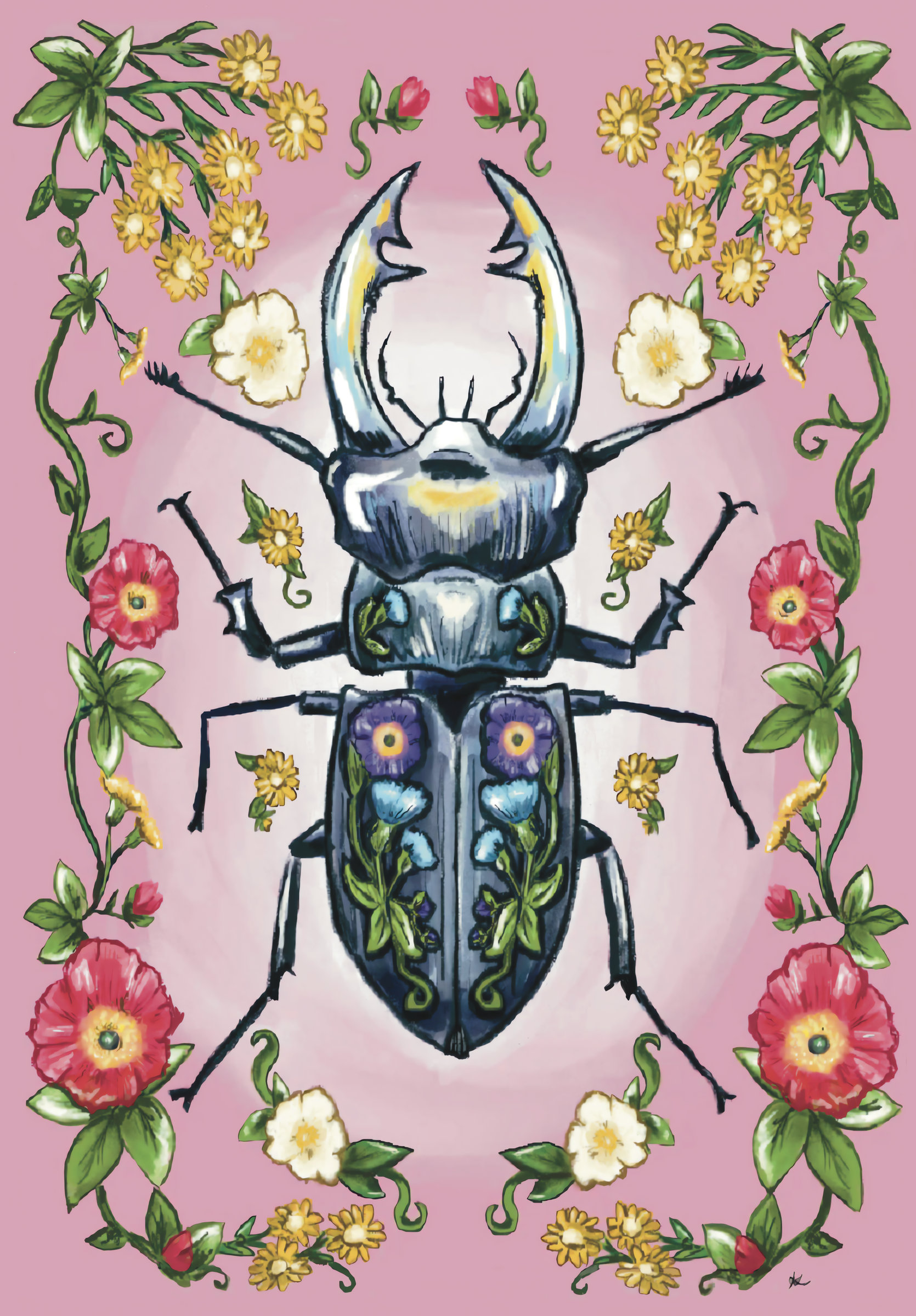 Pink Bug 1