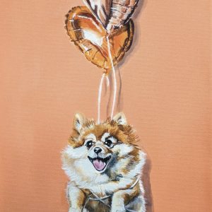 Pomeranian Orange