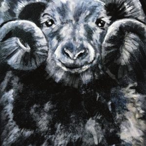 Ram