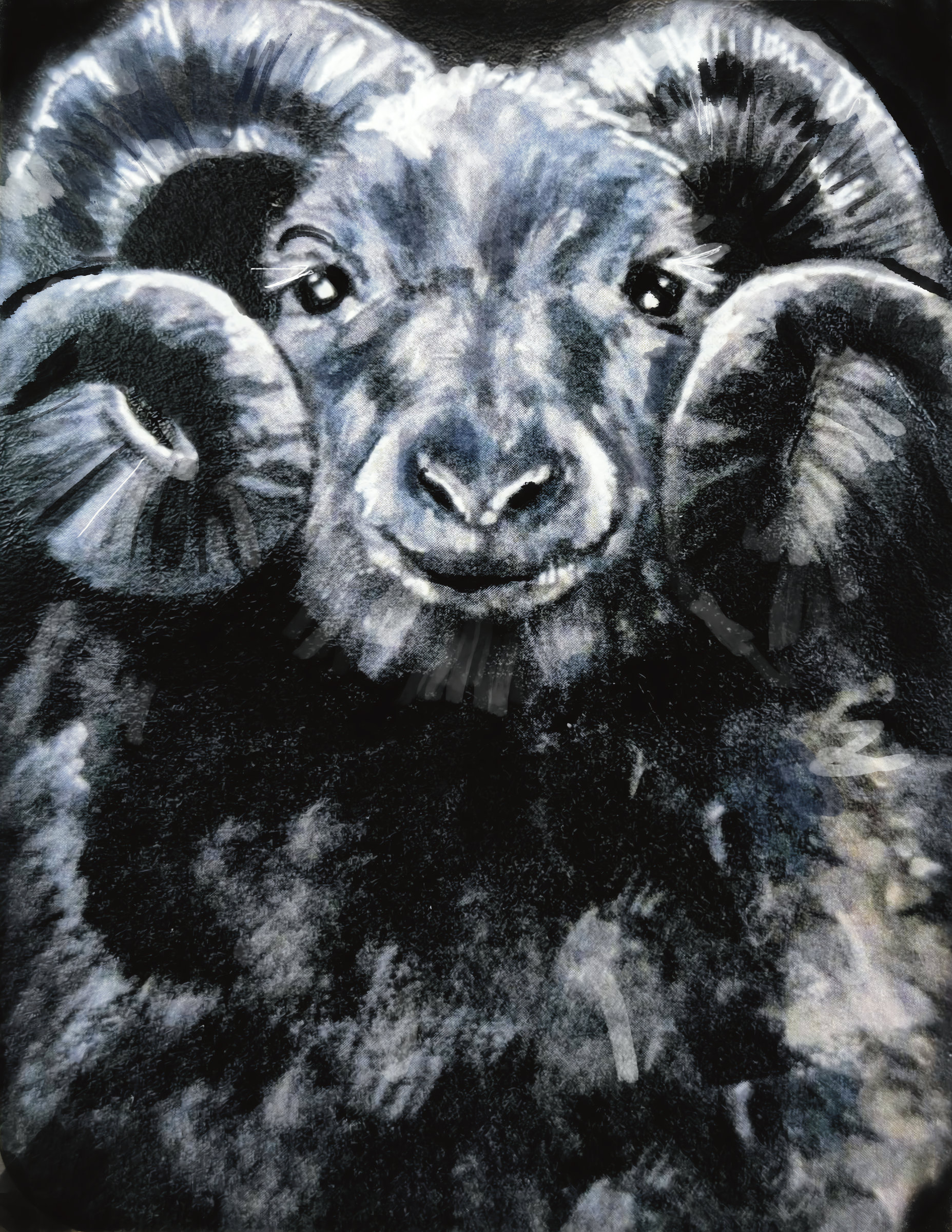 Ram