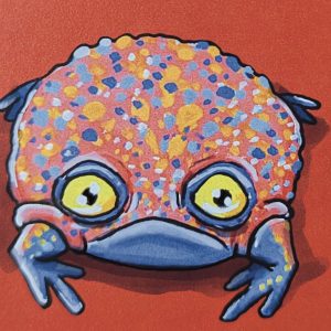Red Frog (1)