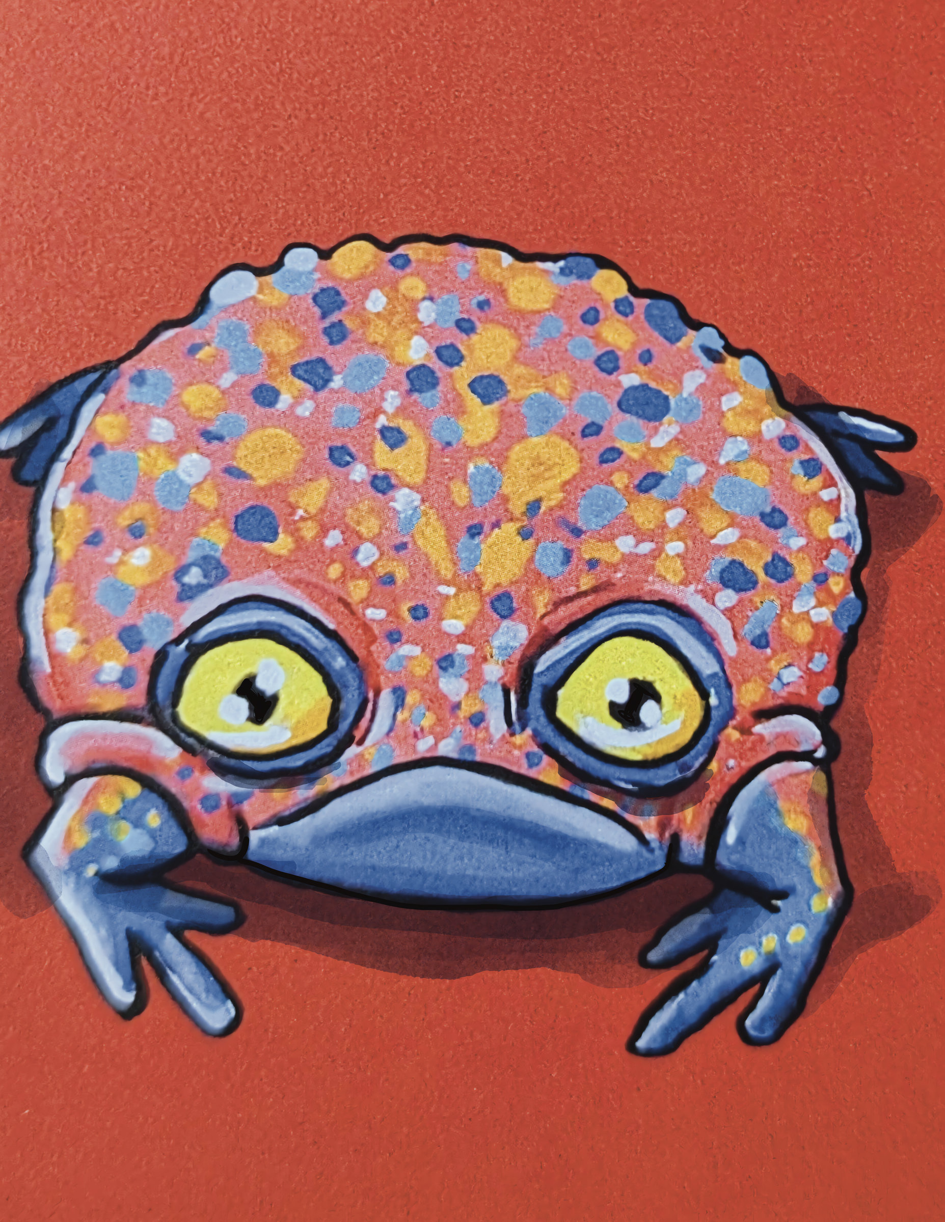 Red Frog (1)