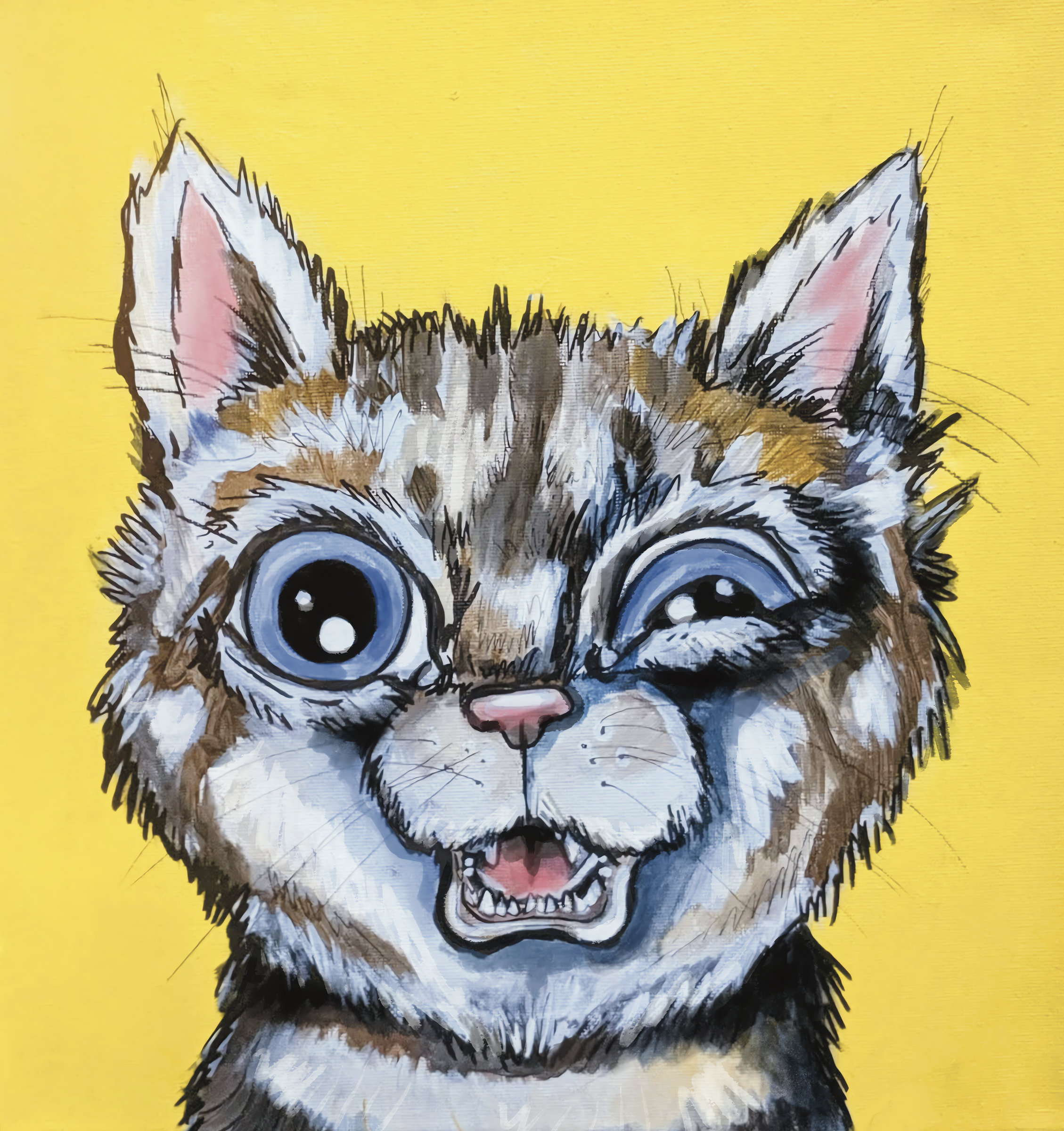 Sneezing Cat