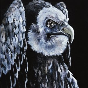 Vulture