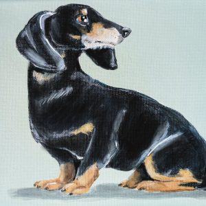 Wiener Dog