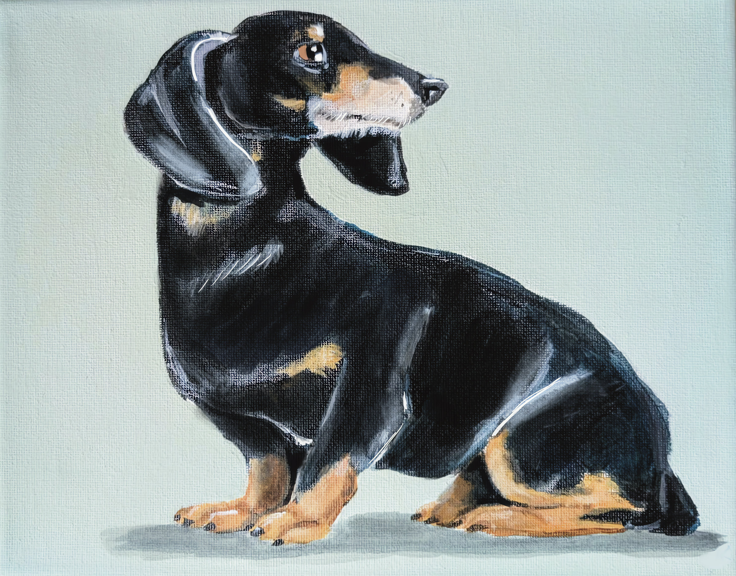 Wiener Dog