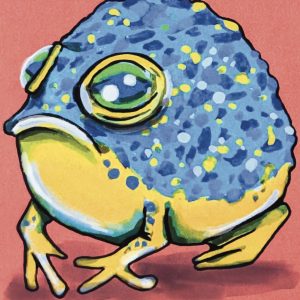 Yellow And Blue Frog Pink Bkgd