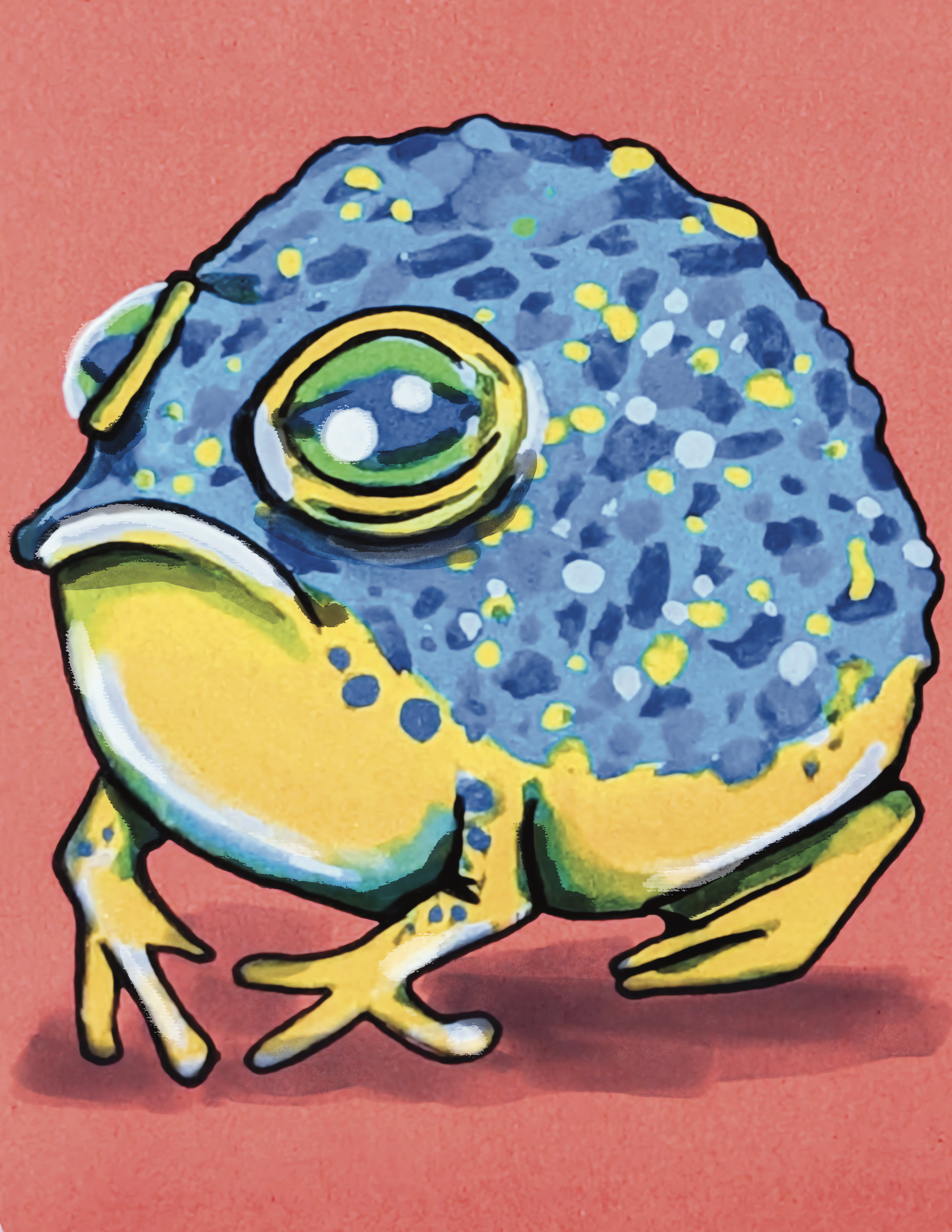 Yellow And Blue Frog Pink Bkgd