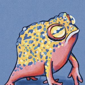 Yellow Blue Frog
